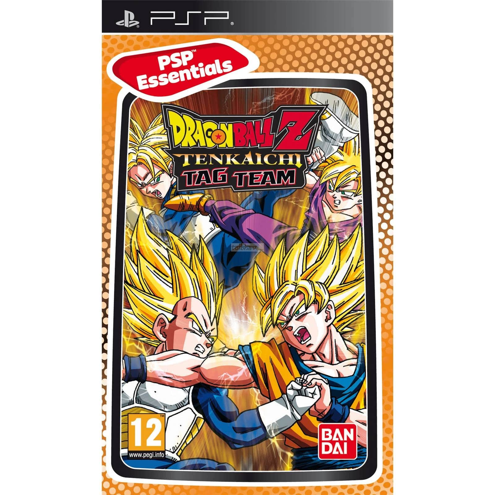 Dragon Ball Z: Grupo de Etiquetas Tenkaichi