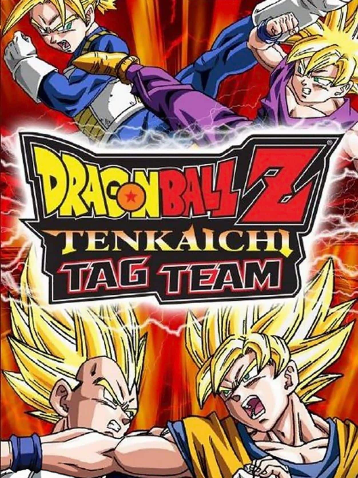Dragon Sphere Z: Equipo de etiqueta Tenkaichi